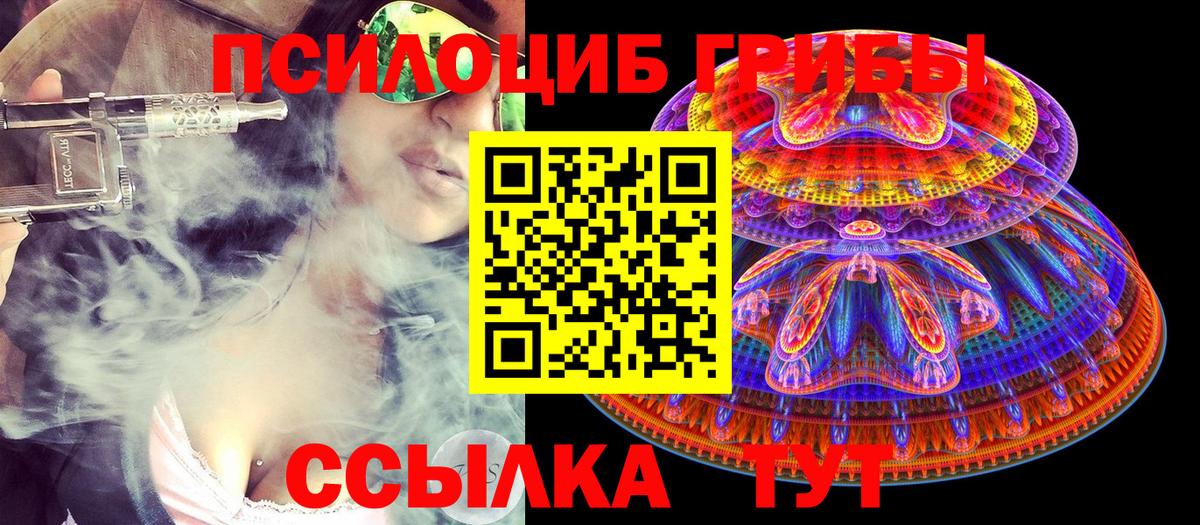 Хабаровск  Галлюциногенные грибы GOLDEN TEACHER  купить   Вход с VPN  Галлюциногенные грибы прущие грибы 
